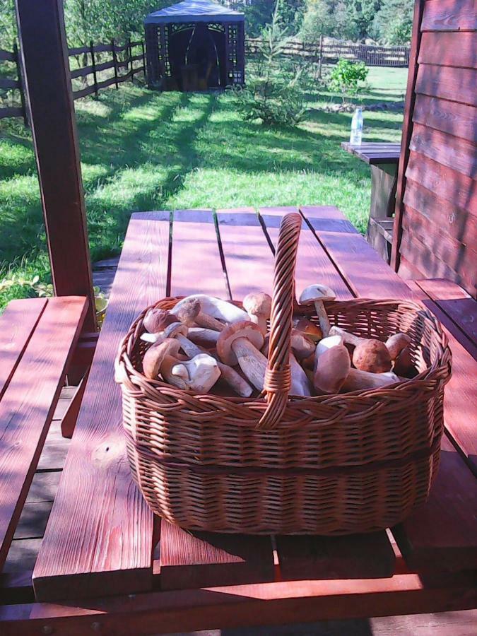 Rokitki Holiday home Rokity (Pomerania)